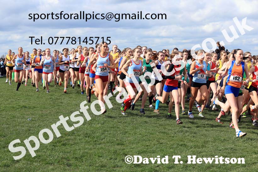 Intermediate Girls 2024 English Schools Cross Country Champs., Pontefract, March 16th.  Photo: David T. Hewitson/Sports for All Pics